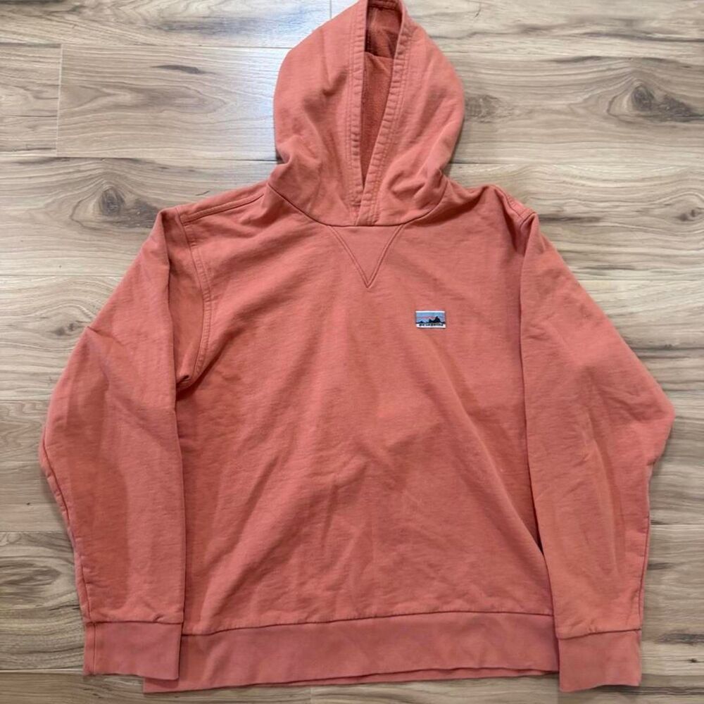 Patagonia Essential Pullover hoodie embroidered super baggy small